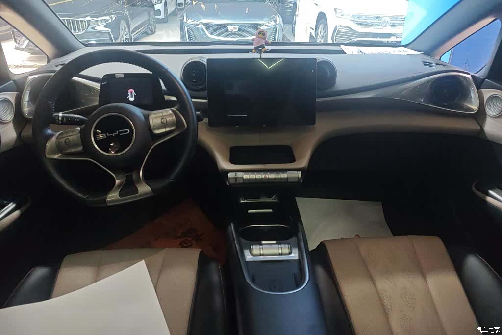 BYD Dolphin, 2023 12