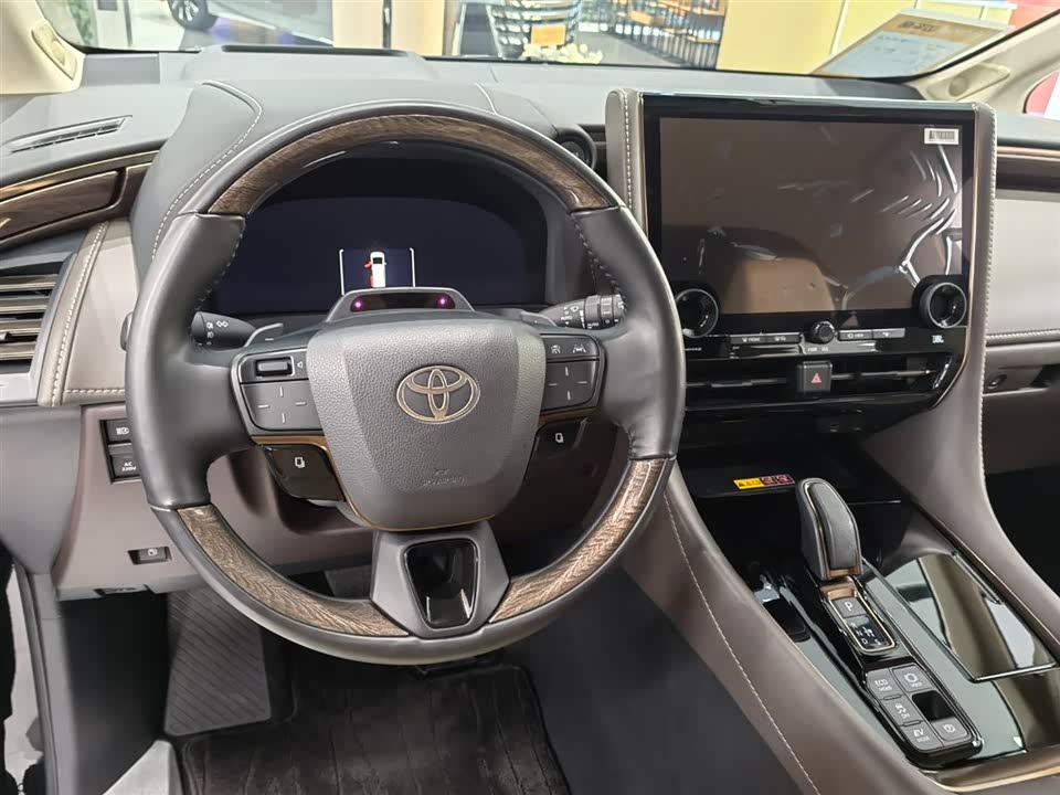 Toyota Elfa