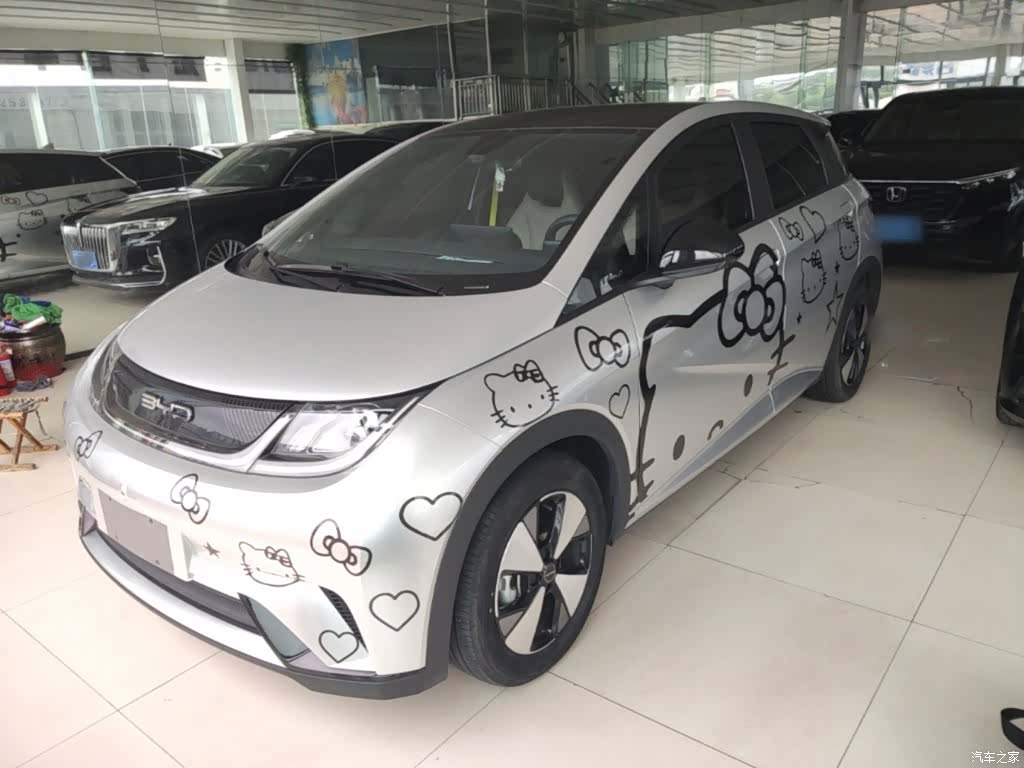 BYD Dolphin, 2024 2