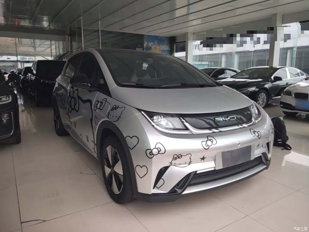 BYD Dolphin, 2024 4