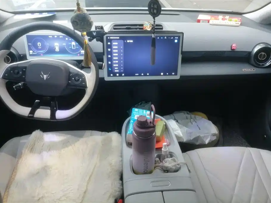 ARCFOX Polar fox koala