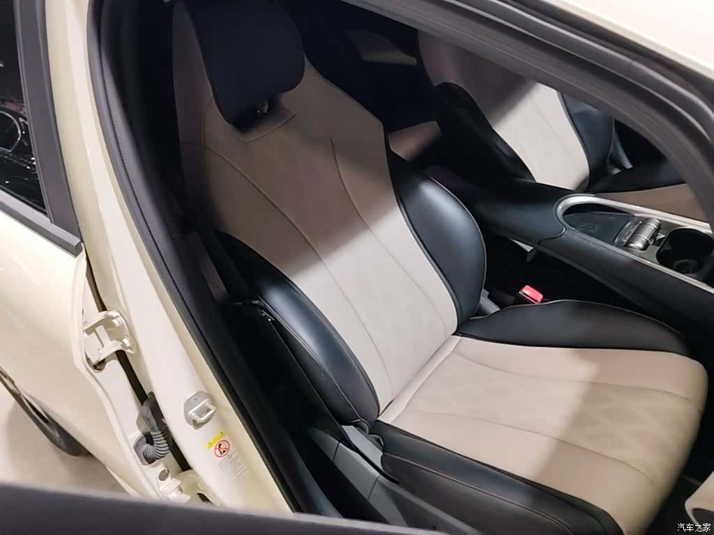 BYD Dolphin, 2023 25