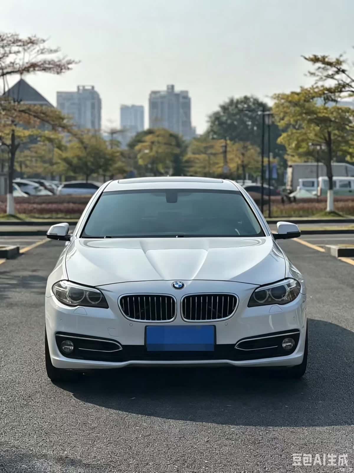 BMW 5 Series, 2014 3