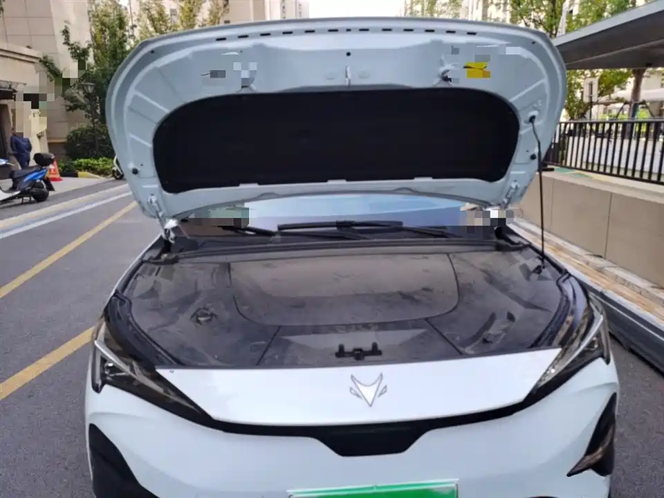 ARCFOX Polar Fox Alpha T5