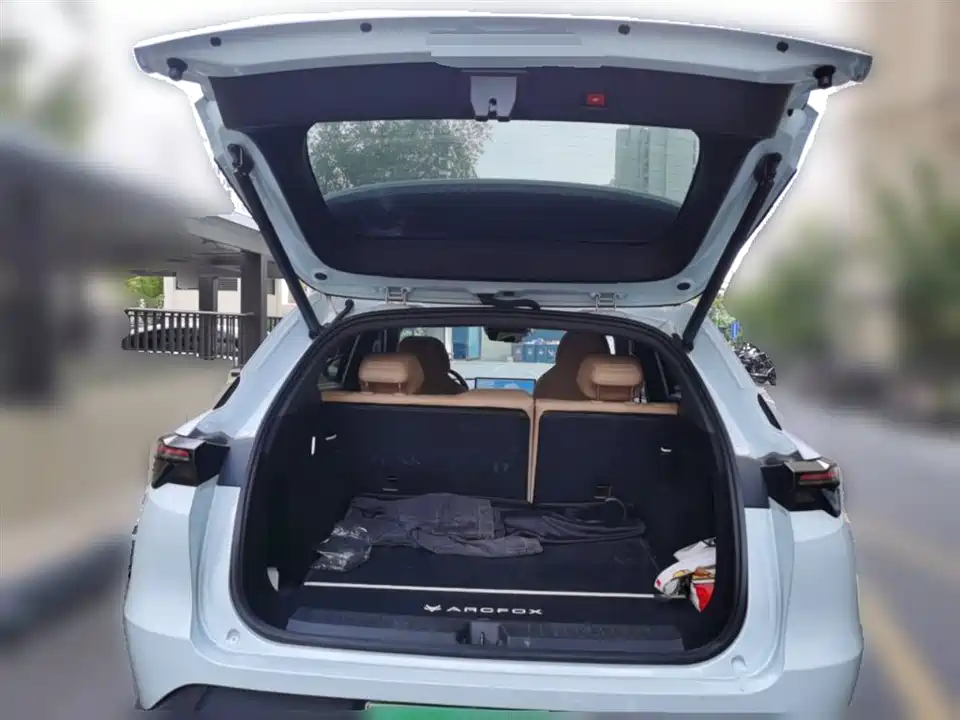 ARCFOX Polar Fox Alpha T5