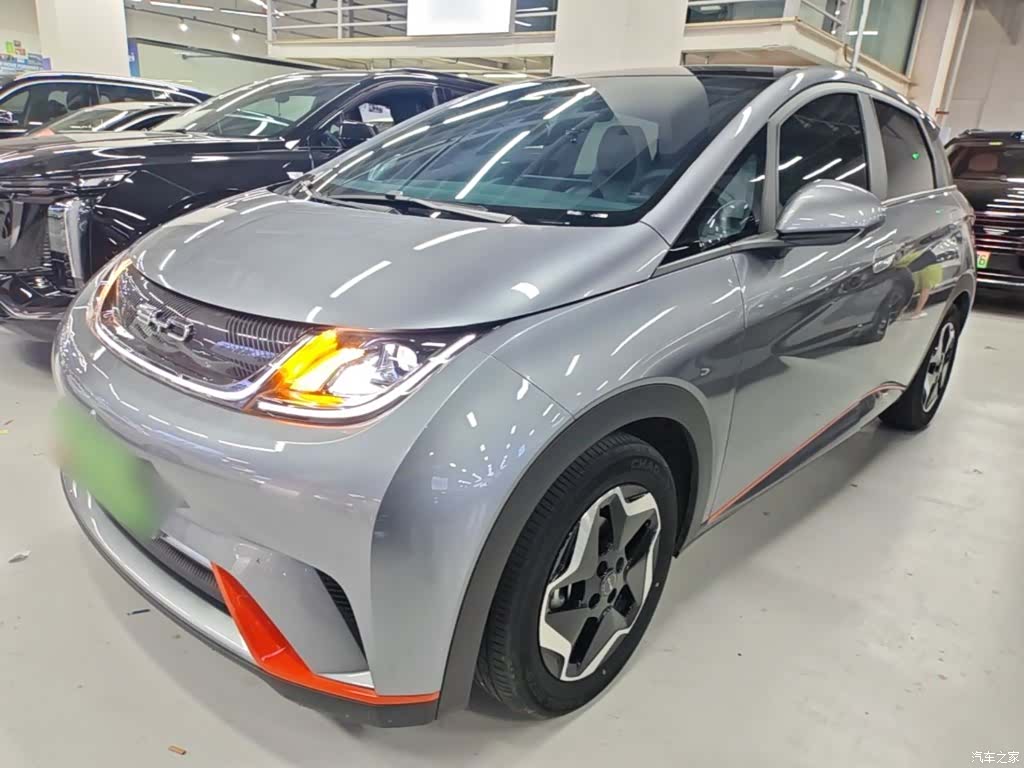 BYD Dolphin, 2022 2