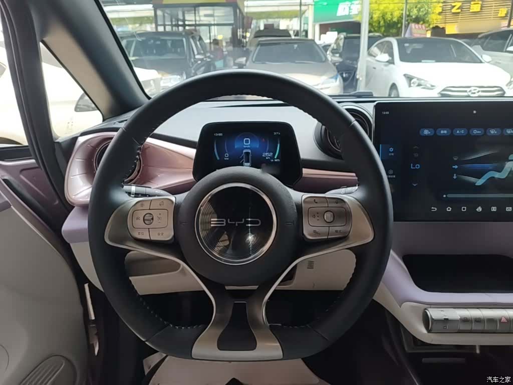 BYD Dolphin, 2023 11