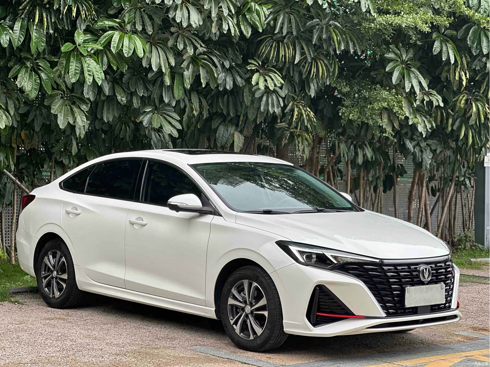Changan Eado, 2023 3