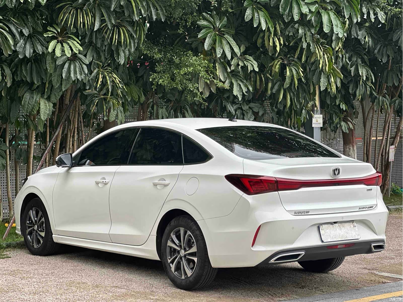 Changan Eado, 2023 14