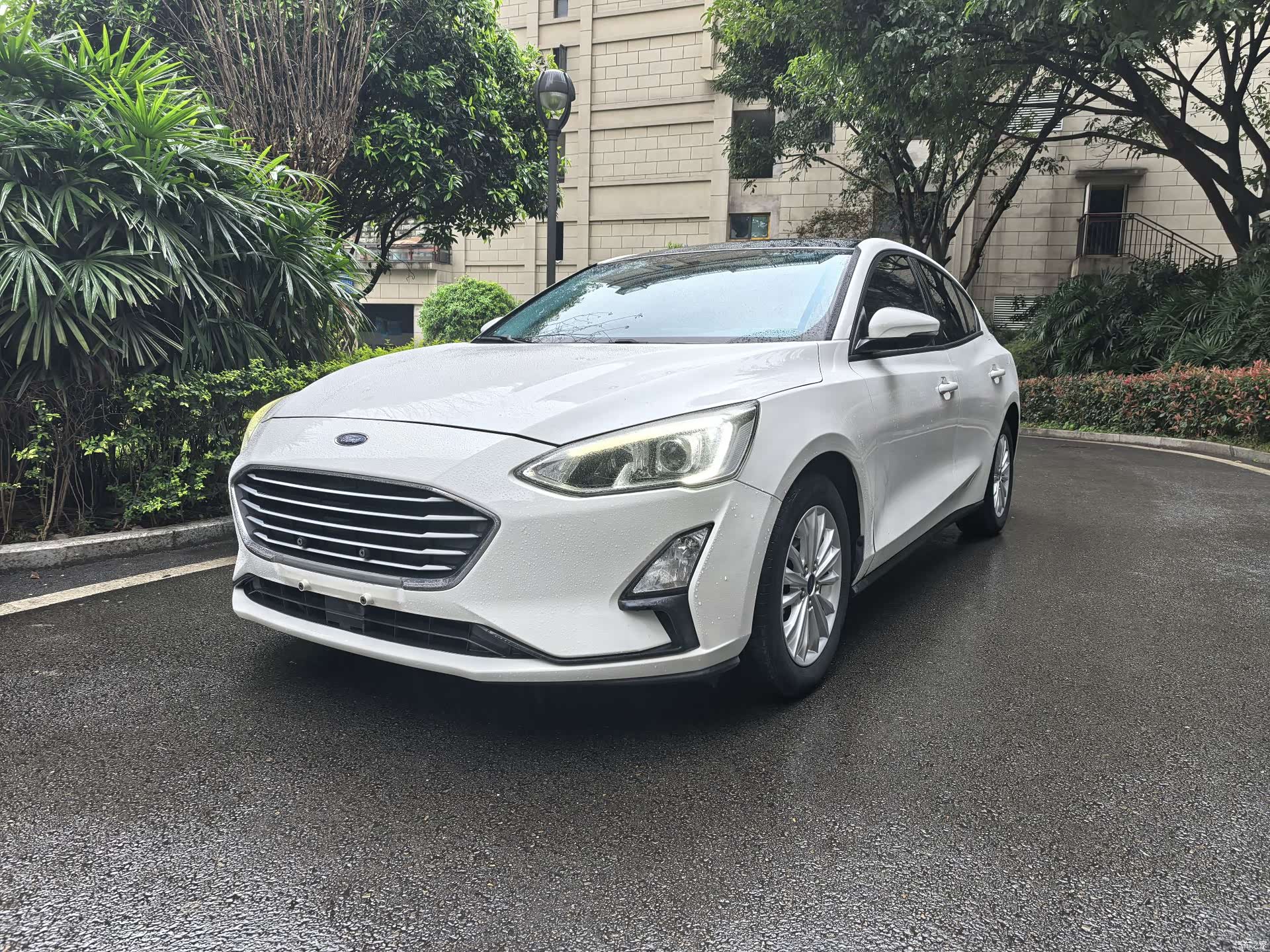 Ford Focus, 2019 1