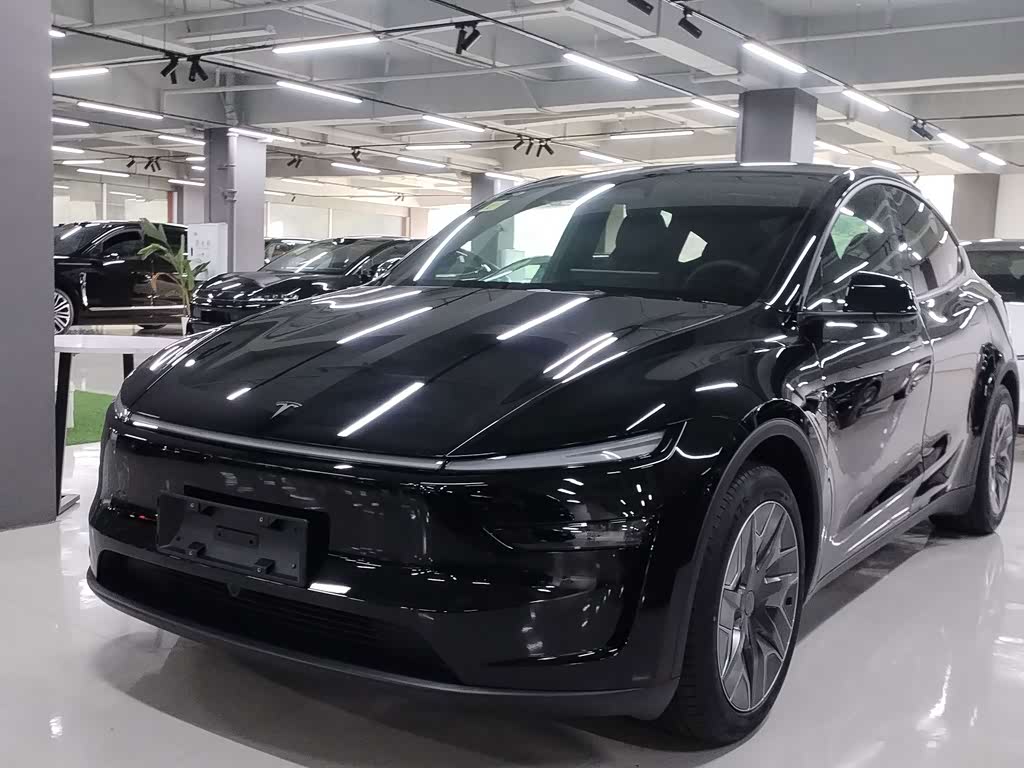 Tesla Model Y L