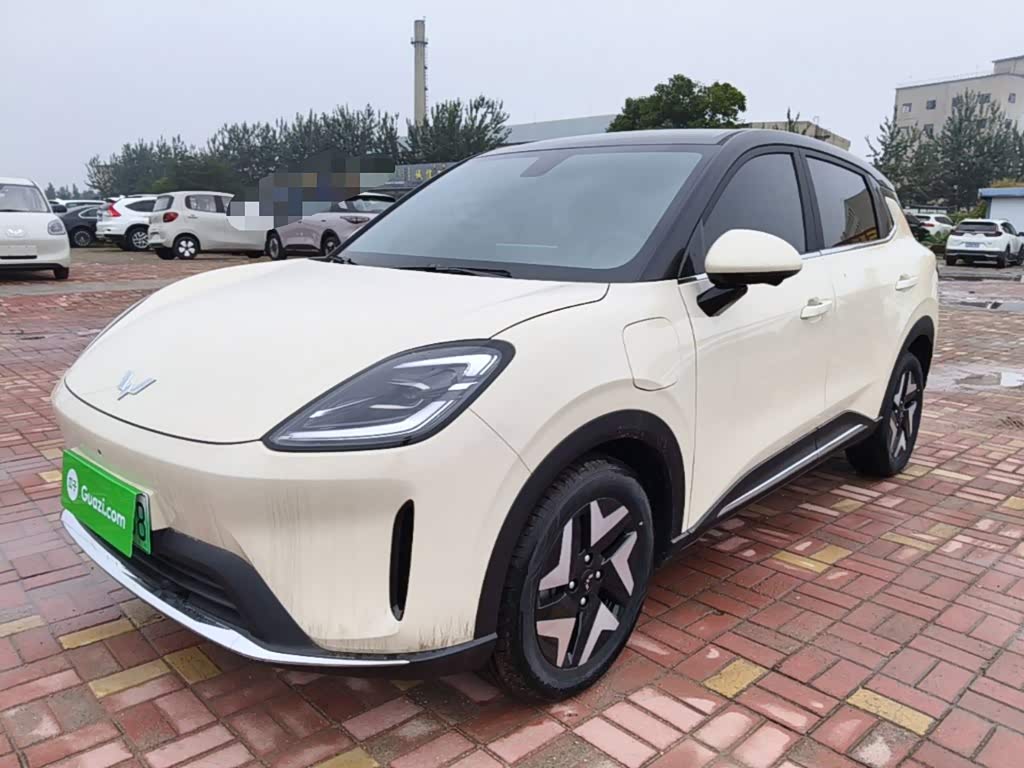 Wuling BinguoS