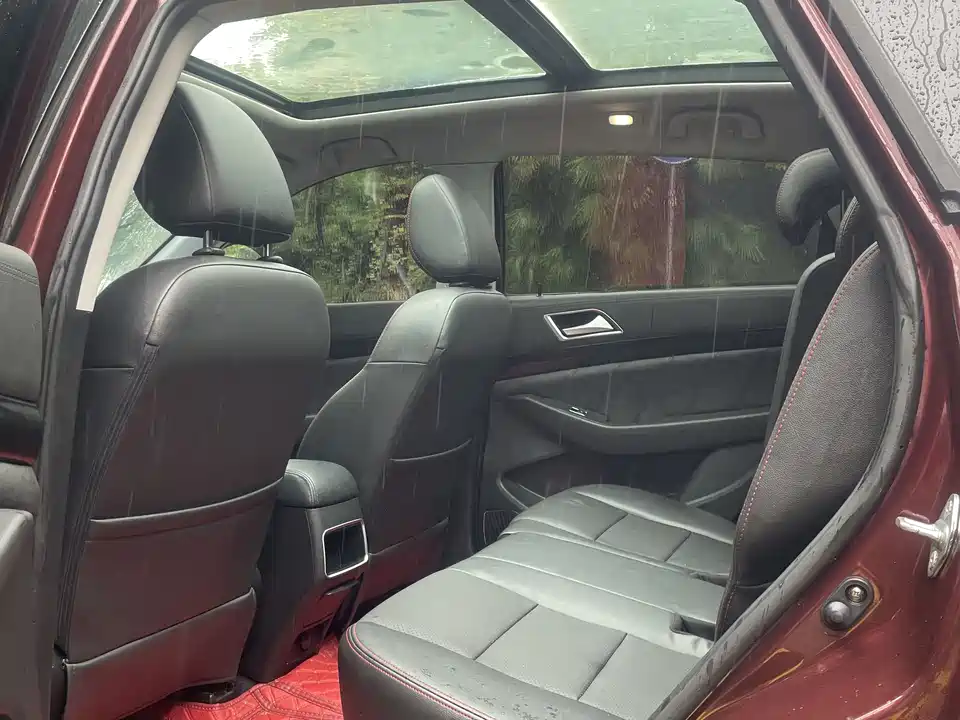 Leopaard Cheetah CS10