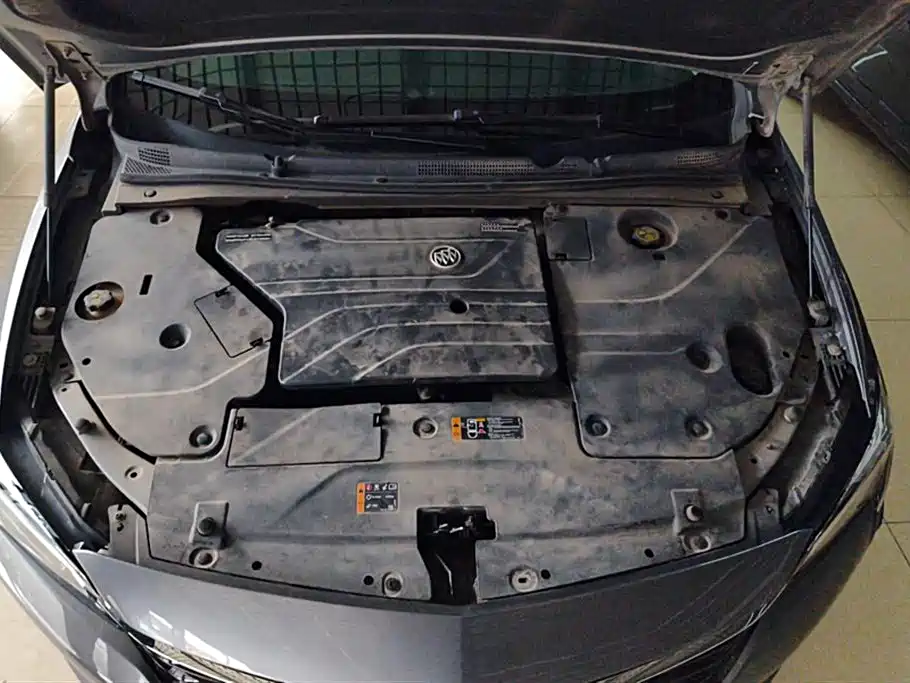 Buick Slightly blue 6