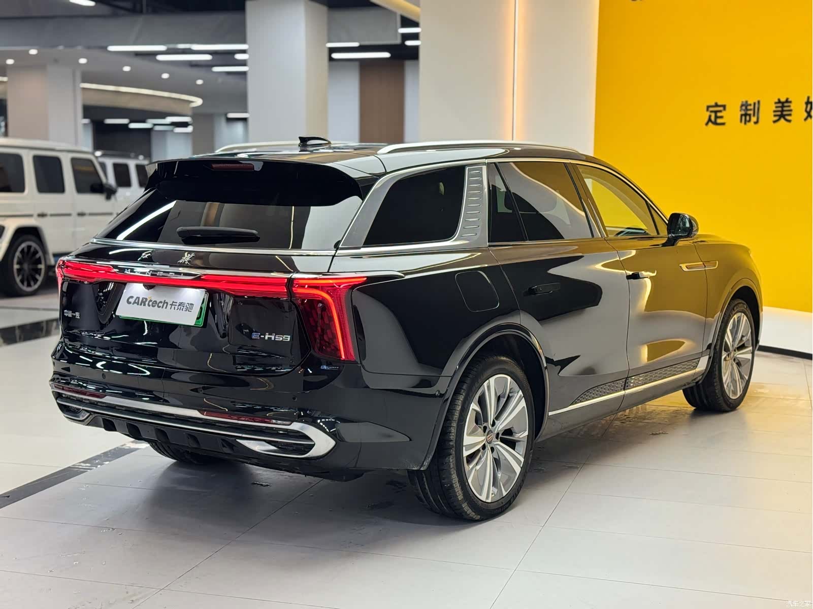 Hongqi E-HS9, 2023 все фото