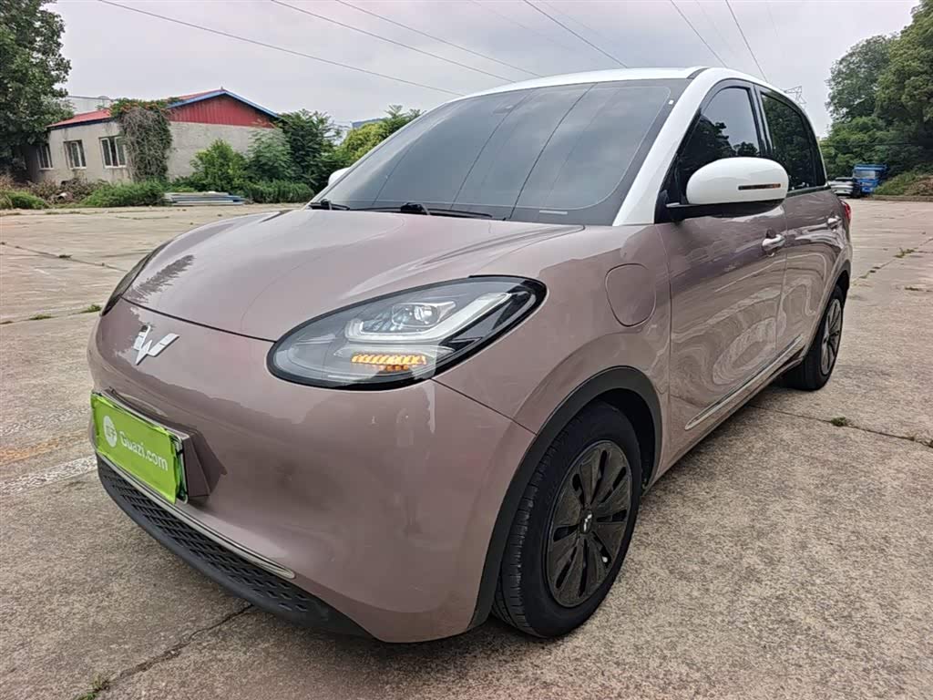 Wuling Binguo