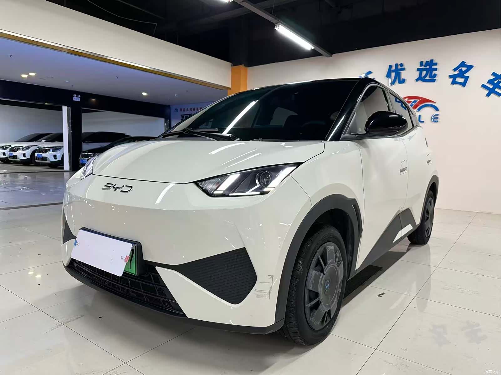 BYD Seagull, 2025 1