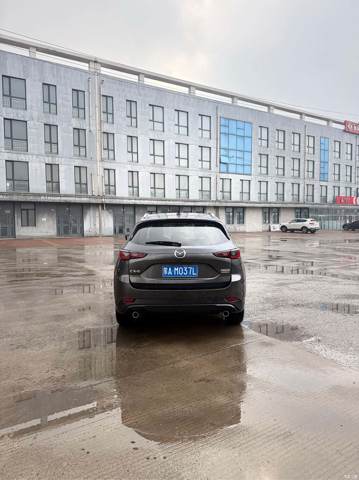 Mazda CX-5, 2022 все фото