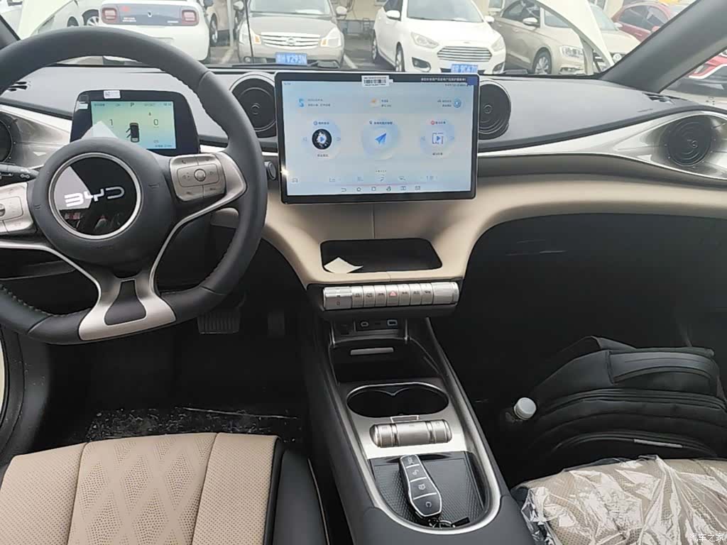 BYD Dolphin, 2026 13