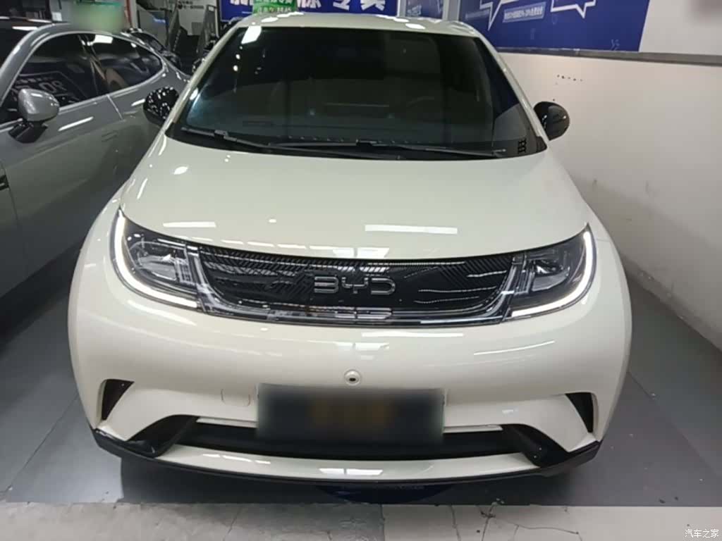 BYD Dolphin, 2025 3