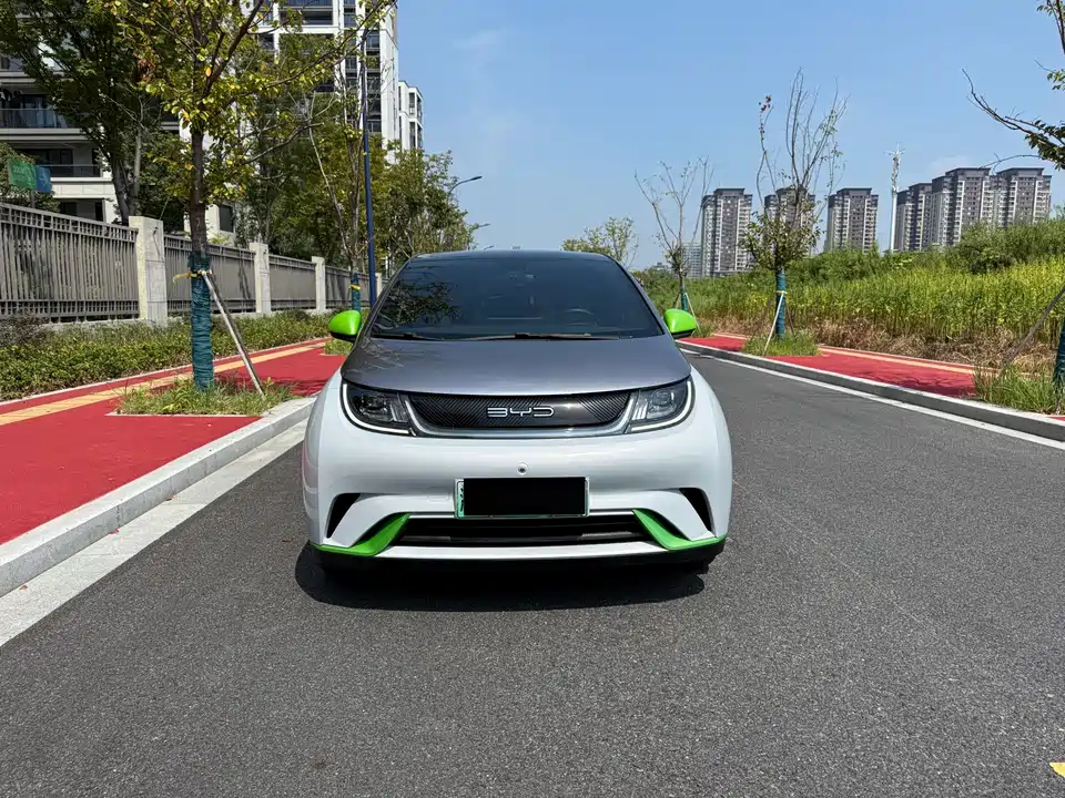 BYD dolphin
