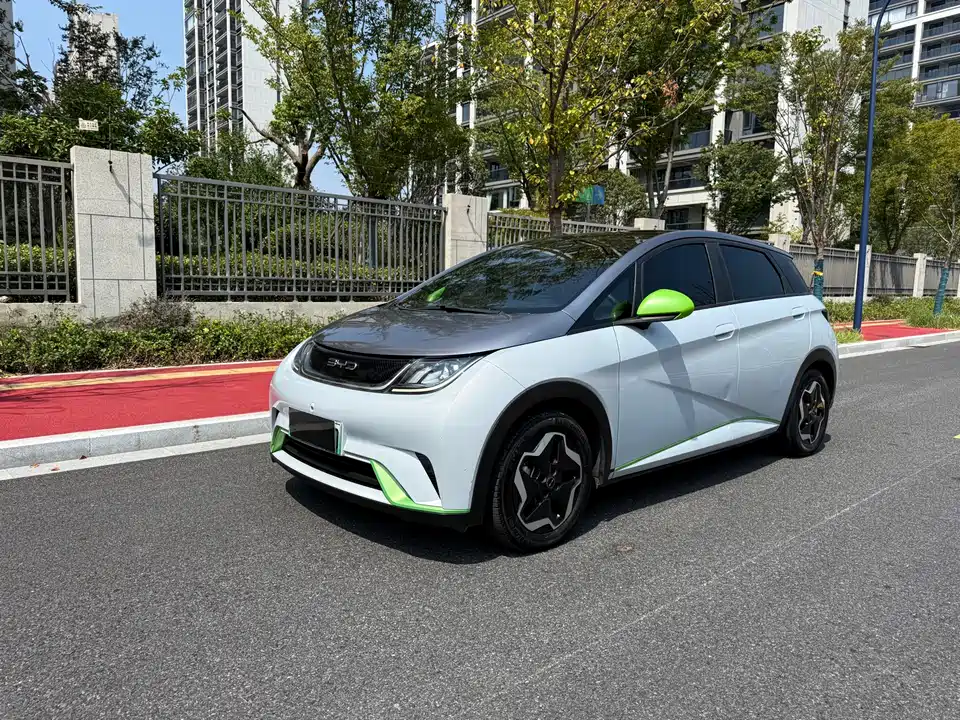 BYD dolphin