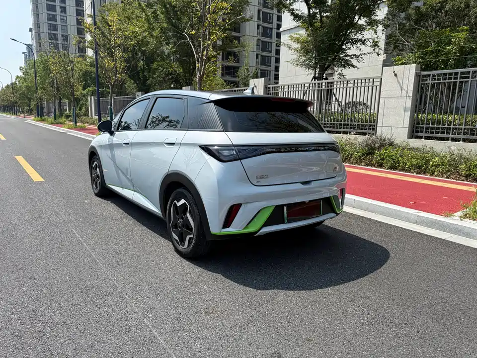BYD dolphin