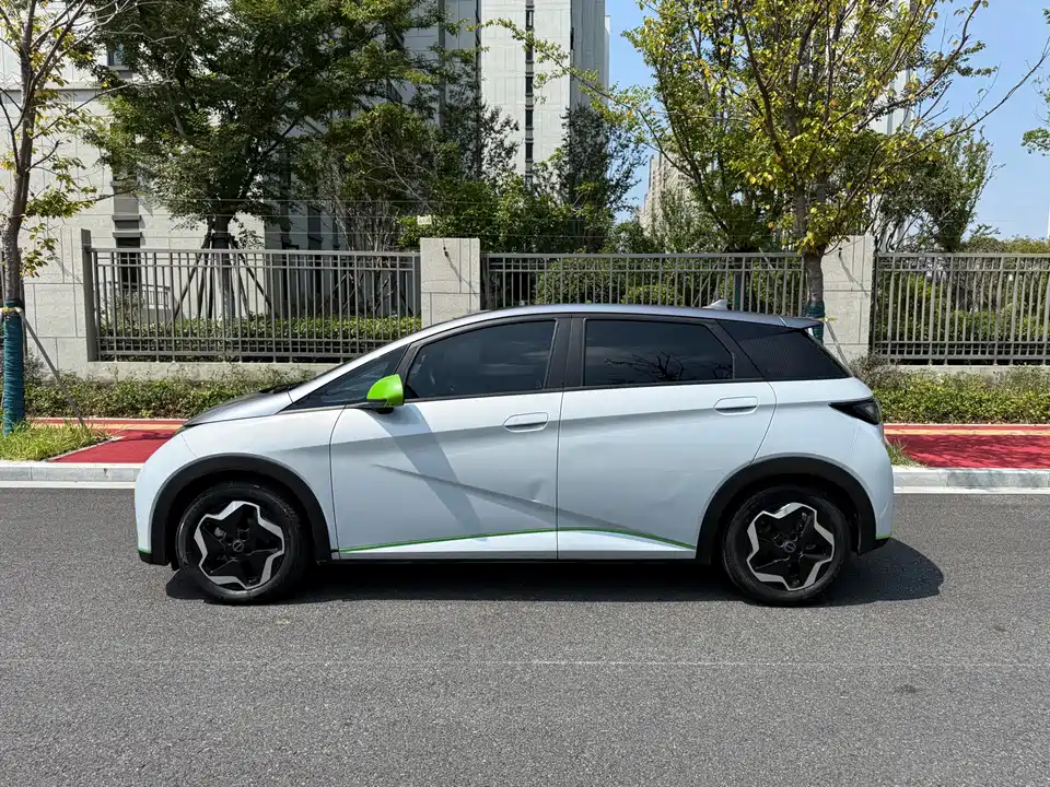 BYD dolphin