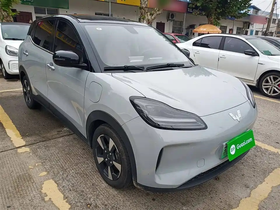 Wuling Wuling Bingguo PLUS