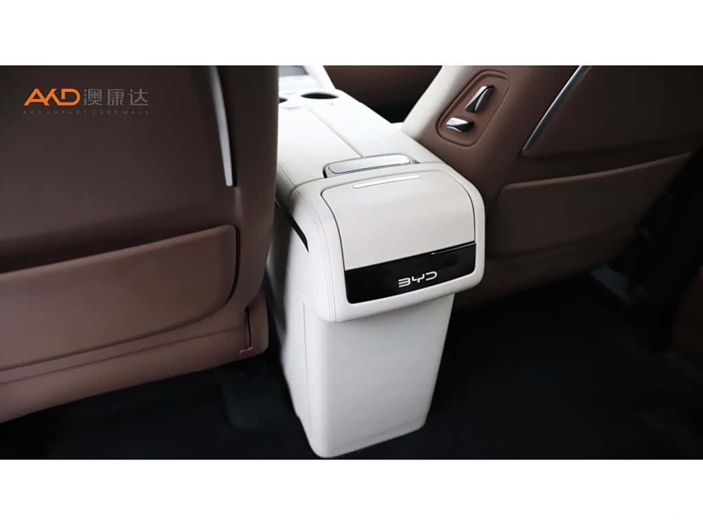 BYD Xia, 2025 10