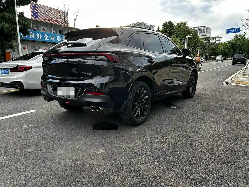 Forthing Popular T5 EVO