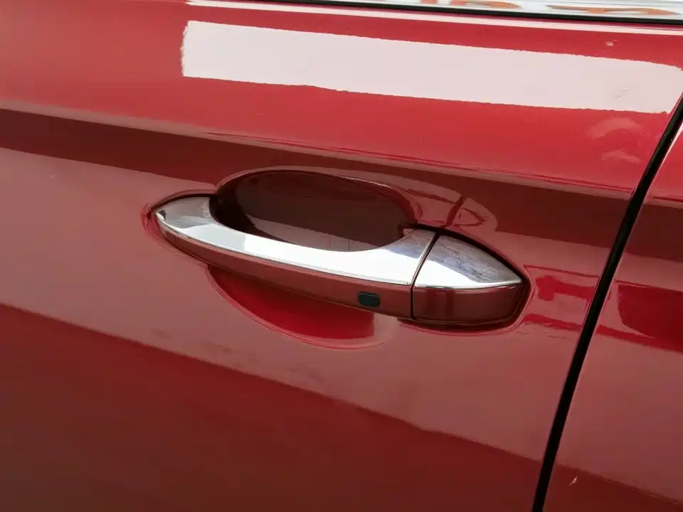 Leopaard Cheetah CS9