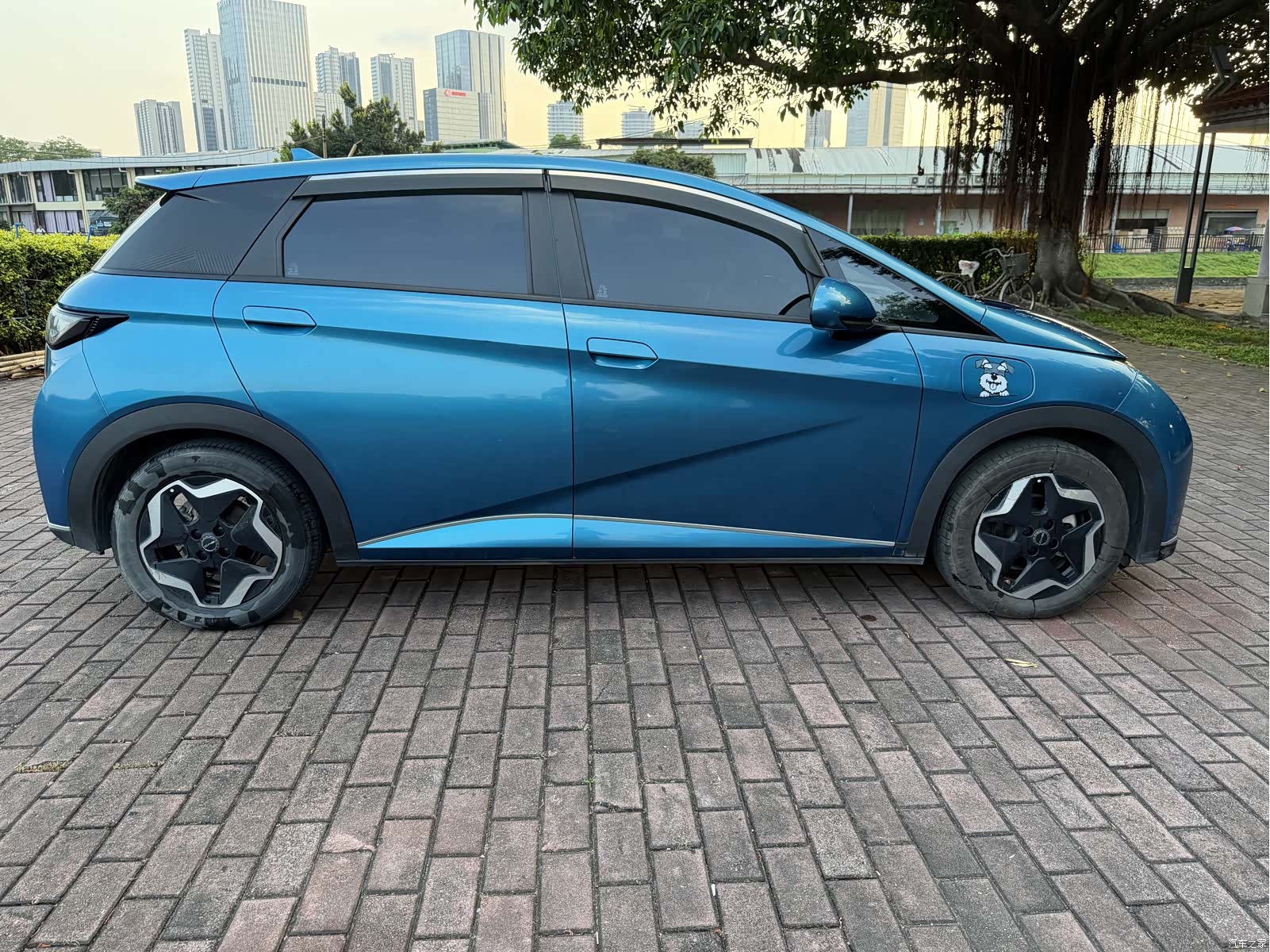 BYD Dolphin, 2022 8