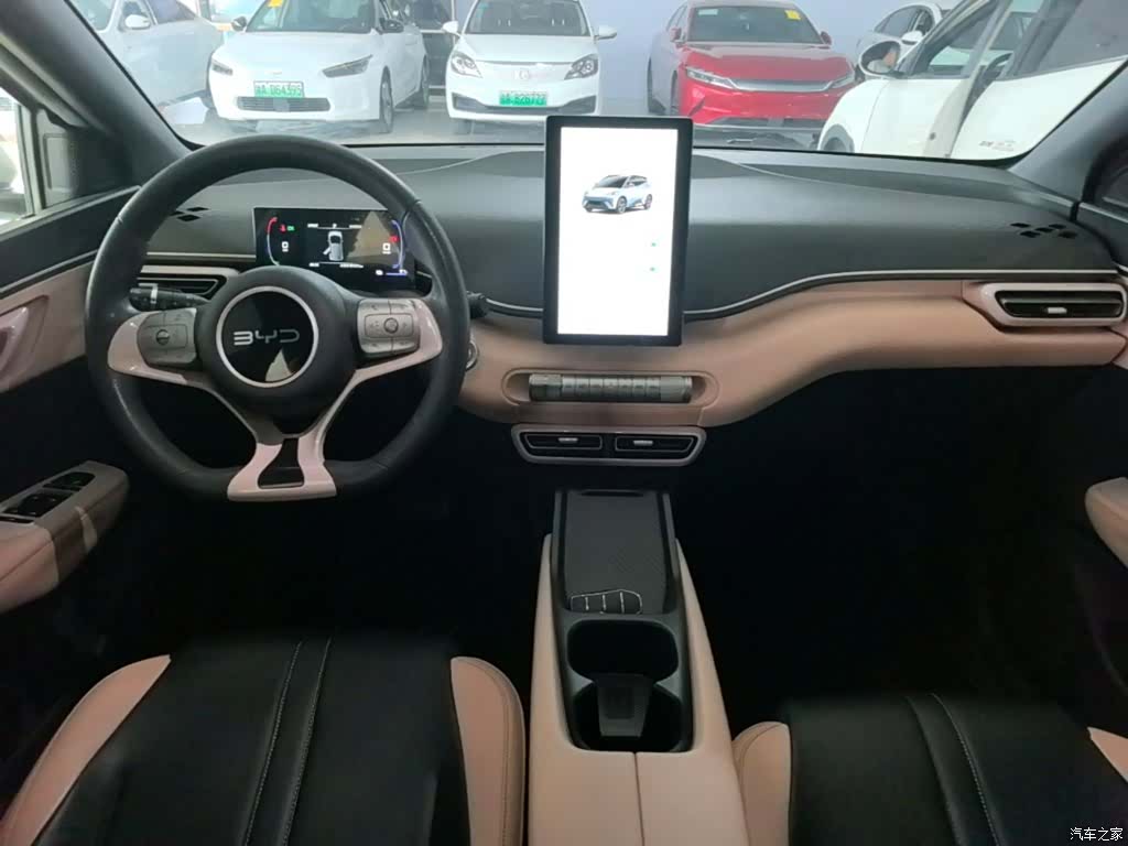 BYD Seagull, 2024 10