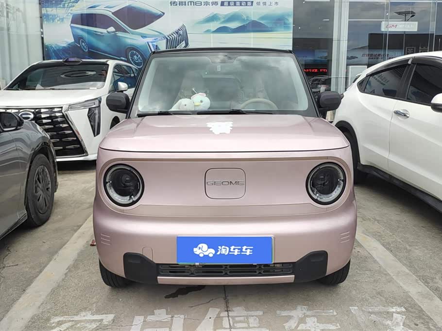 Geely Galaxy panda