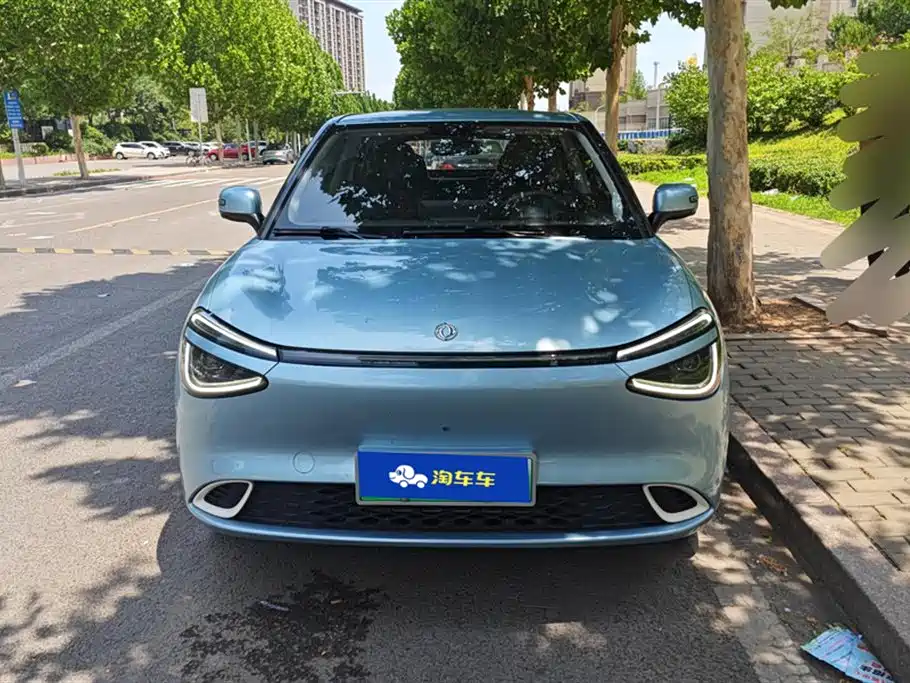 Dongfeng Nammi Nano 01