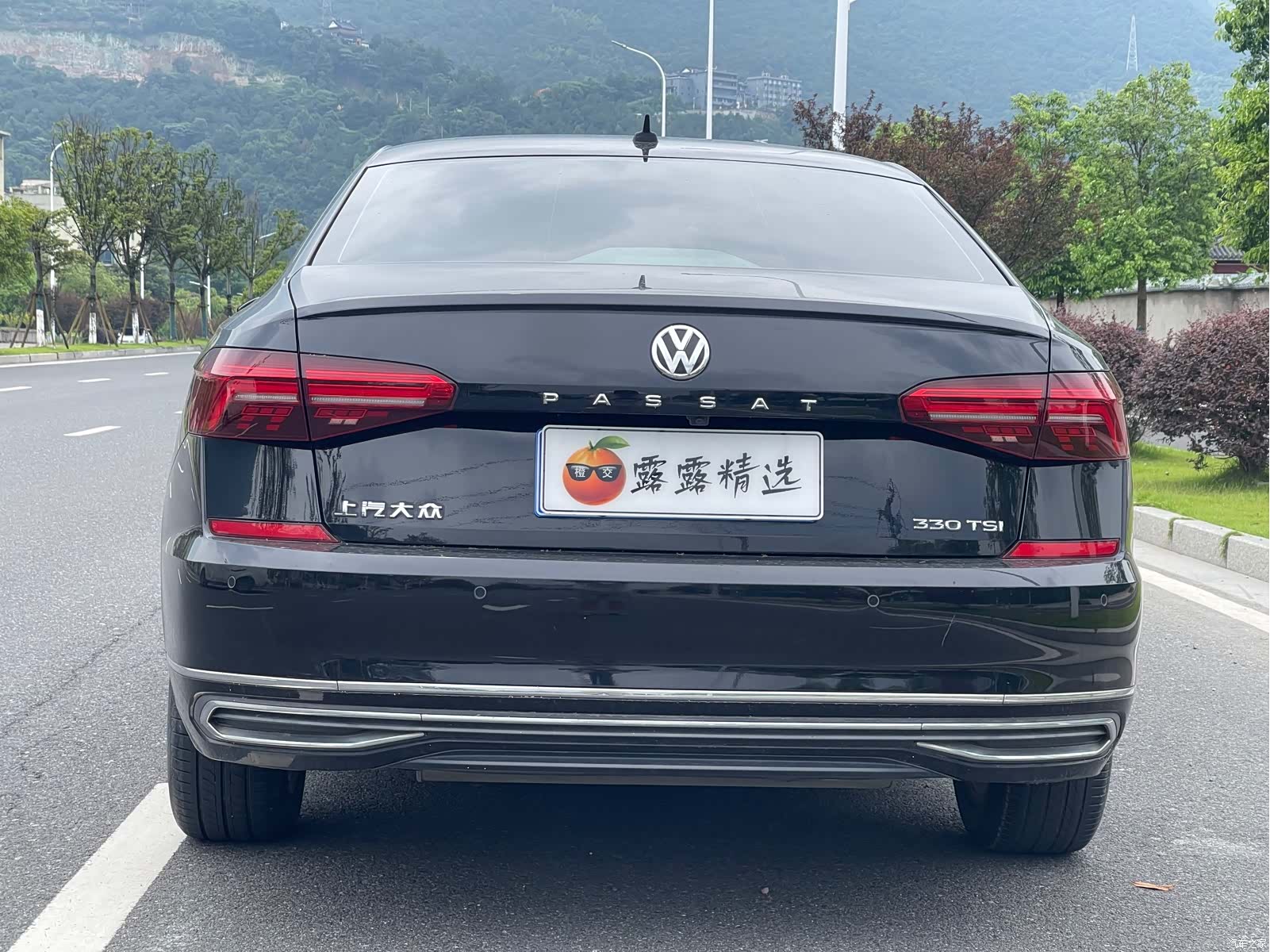 Volkswagen Passat, 2019 13