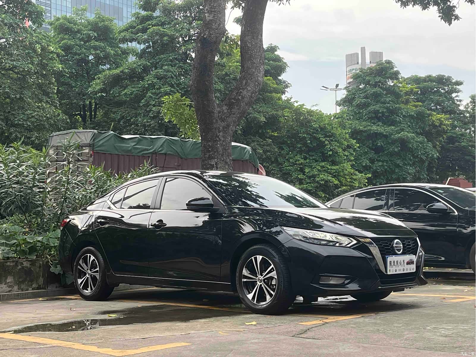 Nissan Sylphy, 2022 3