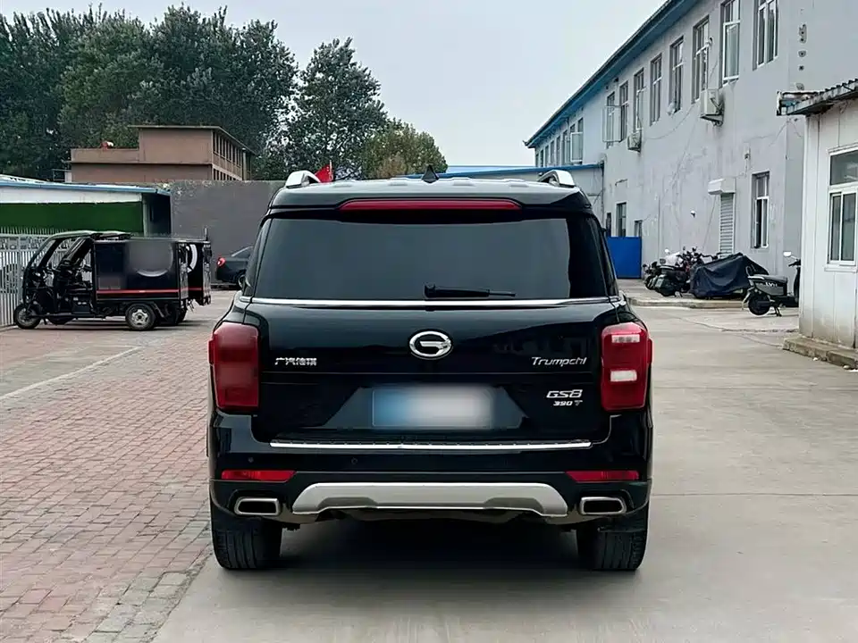 Trumpchi Trumpchi GS8