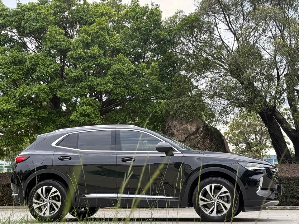 Buick Angkewei S