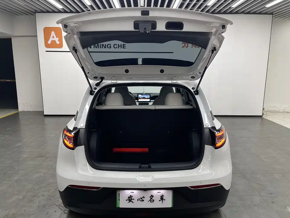 Geely Galaxy Star Wish