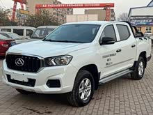 ��ͨT60 2020�� 2.0T�����ֶ������ߵ����ȷ�泤���VI