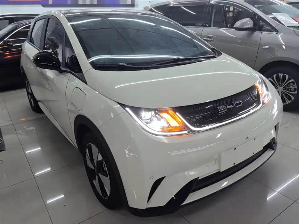 BYD dolphin