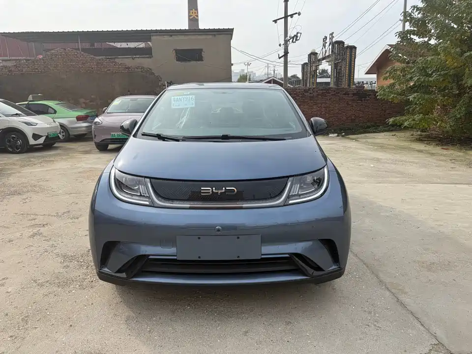 BYD dolphin