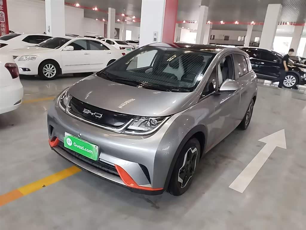 BYD Dolphin
