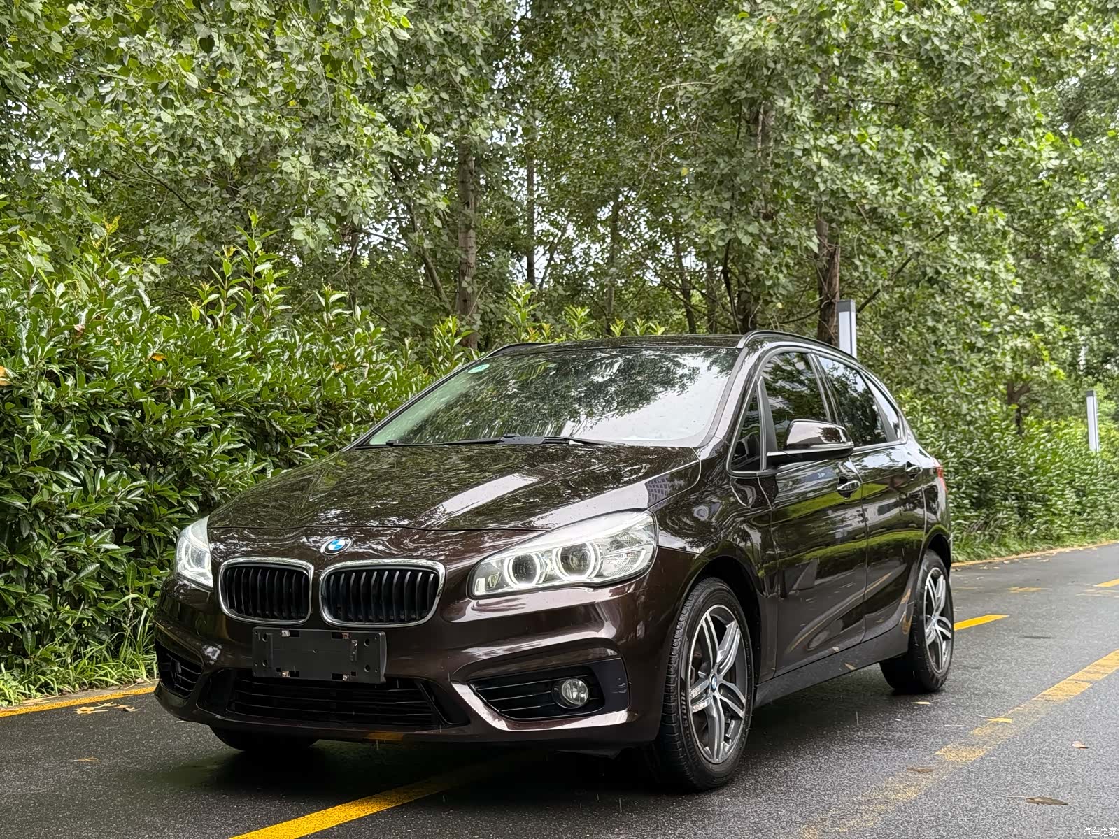 BMW 2 Series, 2016 1