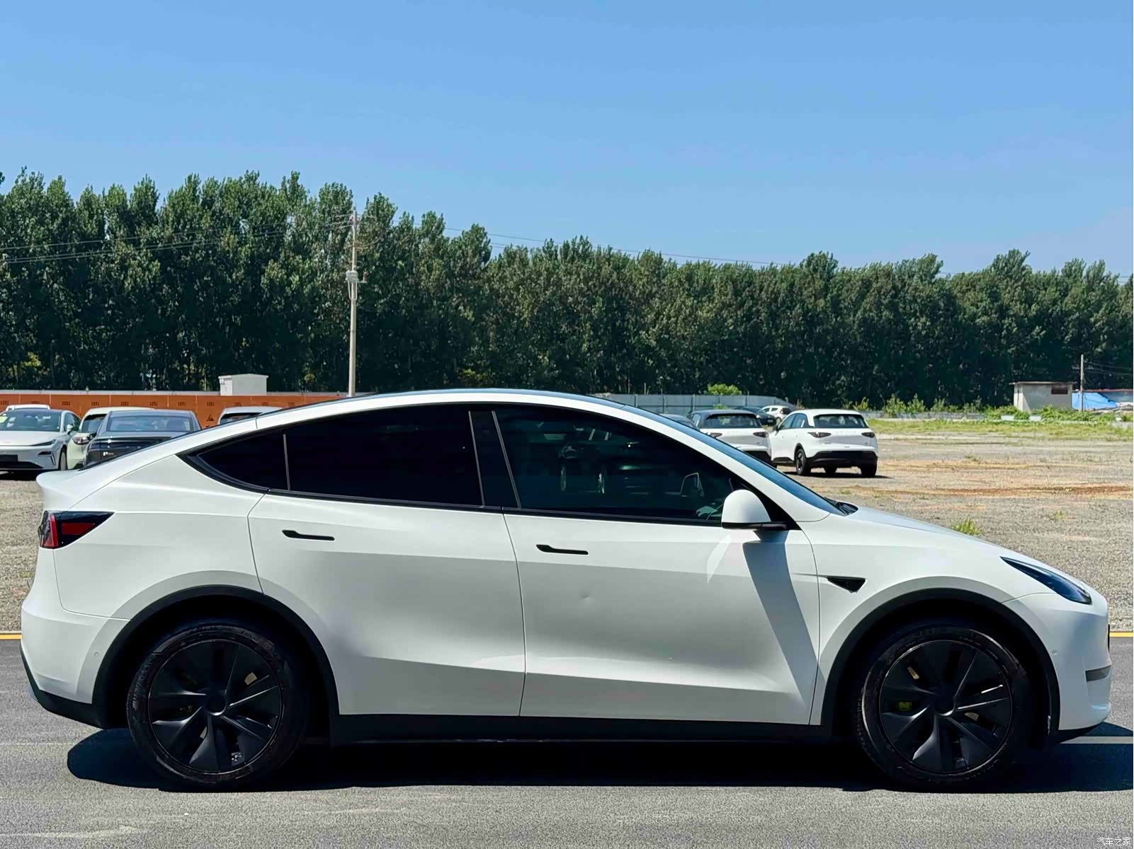 Tesla Model Y, 2023 4