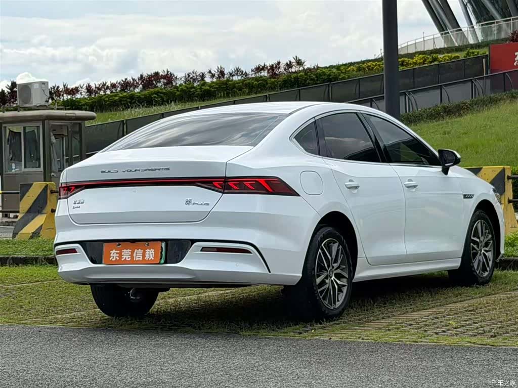BYD Qin, 2024 все фото