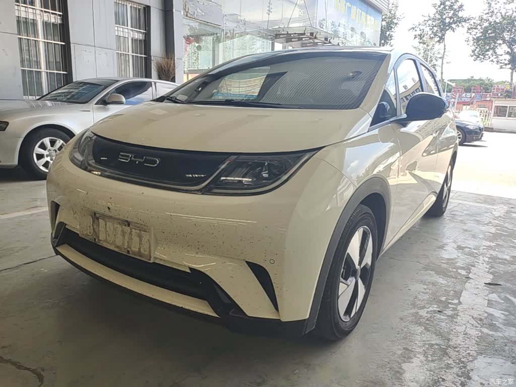 BYD Dolphin, 2023 1