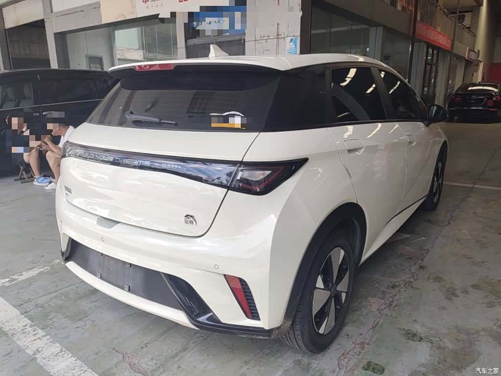BYD Dolphin, 2023 7